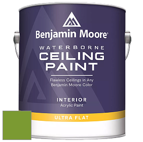 Benjamin Moore 508 Waterborne Ceiling Paint краска для потолков цвет 2029-20 Baby Fern