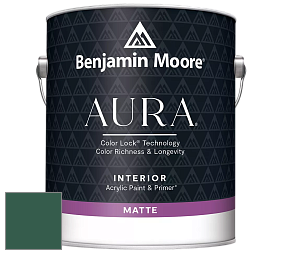 Benjamin Moore Aura 522 Interior Paint - Matte краска цвет 2043-10 Absolute Green