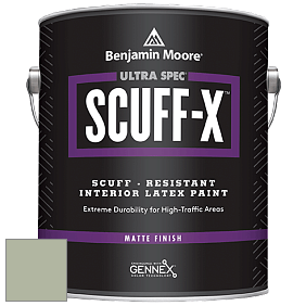 Benjamin Moore 484 Ultra Spec SCUFF-X Interior Matte Finish краска цвет HC-139 BM HC-139