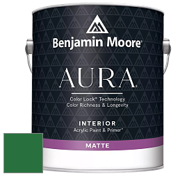 Benjamin Moore Aura 522 Interior Paint - Matte краска цвет RAL 6001 