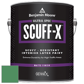 Benjamin Moore 484 Ultra Spec SCUFF-X Interior Matte Finish краска цвет NCS S 3050-G10Y 