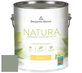 Benjamin Moore 512 Natura Interior Flat Finish матовая краска цвет NCS S 4010-G30Y 