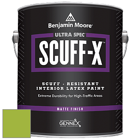 Benjamin Moore 484 Ultra Spec SCUFF-X Interior Matte Finish краска цвет NCS S 1070-G40Y 