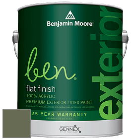 Benjamin Moore Ben 541 Waterborne Exterior Flat Finish краска цвет 441 Alligator Alley