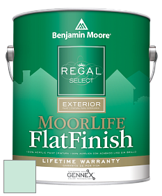 Benjamin Moore W105 Regal Select Exterior Paint-MoorLife Flat Finish краска цвет 610 Antigua Aqua