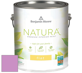 Benjamin Moore 512 Natura Interior Flat Finish матовая краска цвет NCS S 1050-R40B 