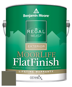 Benjamin Moore W105 Regal Select Exterior Paint-MoorLife Flat Finish краска цвет 476 Jade Romanesque