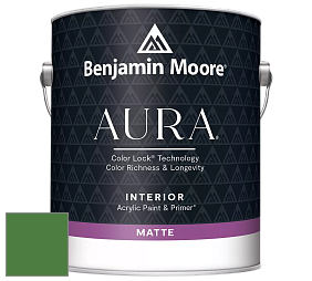 Benjamin Moore Aura 522 Interior Paint - Matte краска цвет 2034-20 Vine Green