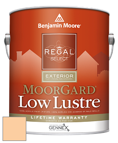 Benjamin Moore W103 Regal Select Exterior Paint-MoorGard Low Lustre Finish краска цвет 2016-50 Melon Popsicle