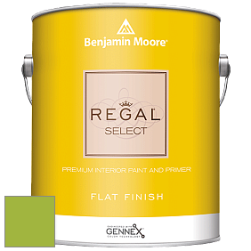Benjamin Moore 547 Regal Select Waterborne Interior Flat Finish краска цвет NCS S 1070-G40Y 