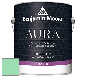 Benjamin Moore Aura 522 Interior Paint - Matte краска цвет NCS S 0540-G 