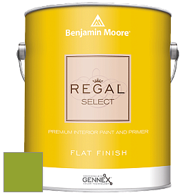 Benjamin Moore 547 Regal Select Waterborne Interior Flat Finish краска цвет 2028-20 Douglas Fir