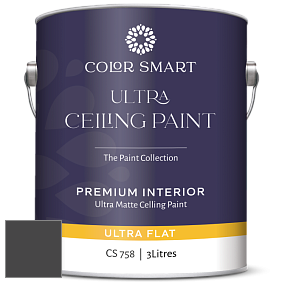 COLOR SMART CS 758 ULTRA CEILING PAINT ультраматовая краска цвет 2118-10 Universal Black