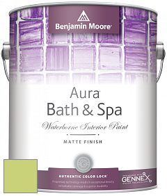 Benjamin Moore Aura 532 Bath & Spa Waterborne Interior Paint Matte Finish краска цвет 417 Feel the Energy