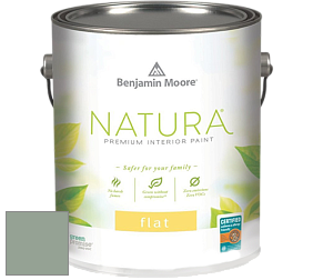Benjamin Moore 512 Natura Interior Flat Finish матовая краска цвет 698 Grenadier Pond