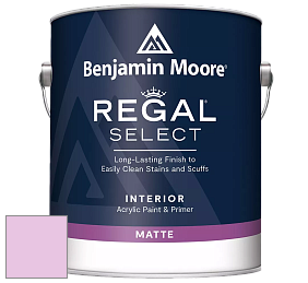 Benjamin Moore 548 IRegal Select Interior Paint - Matte краска цвет 2076-60 Dog's Ear