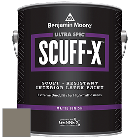 Benjamin Moore 484 Ultra Spec SCUFF-X Interior Matte Finish краска цвет AF-720 