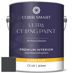 COLOR SMART CS 758 ULTRA CEILING PAINT ультраматовая краска цвет 2131-10 Black Satin