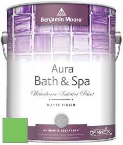 Benjamin Moore Aura 532 Bath & Spa Waterborne Interior Paint Matte Finish краска цвет NCS S 0570-G20Y 