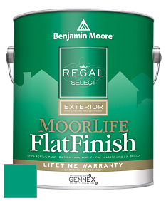 Benjamin Moore W105 Regal Select Exterior Paint-MoorLife Flat Finish краска цвет 616 Garden View