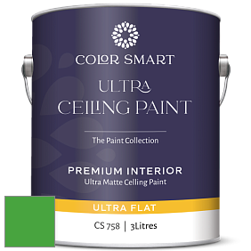 COLOR SMART CS 758 ULTRA CEILING PAINT ультраматовая краска цвет RAL 6018 