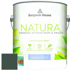 Benjamin Moore 513 Natura Interior Eggshell Finish краска с блеском цвет 2041-10 Hunter Green