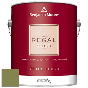 Benjamin Moore 550 Regal Select Waterborne Interior Pearl Finish краска цвет NCS S 4040-G50Y 