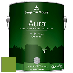 Benjamin Moore Aura 629 Waterborne Exterior Flat Finish краска цвет 2029-20 Baby Fern