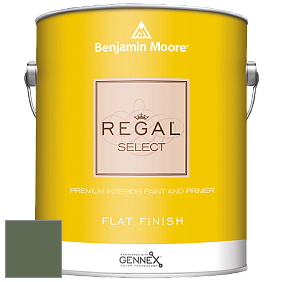 Benjamin Moore 547 Regal Select Waterborne Interior Flat Finish краска цвет HC-121 BM HC-121