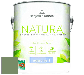 Benjamin Moore 513 Natura Interior Eggshell Finish краска с блеском цвет NCS S 4030-G30Y 