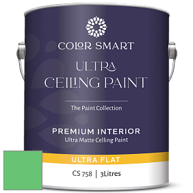 COLOR SMART CS 758 ULTRA CEILING PAINT ультраматовая краска цвет NCS S 0565-G10Y 