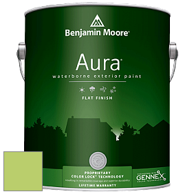 Benjamin Moore Aura 629 Waterborne Exterior Flat Finish краска цвет 418 Willow Springs Green