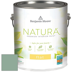 Benjamin Moore 512 Natura Interior Flat Finish матовая краска цвет 634 Forest Valley Green