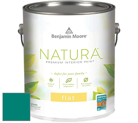 Benjamin Moore 512 Natura Interior Flat Finish матовая краска цвет NCS S 3555-B60G 