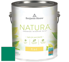 Benjamin Moore 512 Natura Interior Flat Finish матовая краска цвет NCS S 3060-B90G 