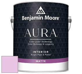 Benjamin Moore Aura 522 Interior Paint - Matte краска цвет 2076-60 Dog's Ear