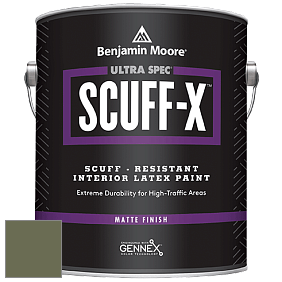 Benjamin Moore 484 Ultra Spec SCUFF-X Interior Matte Finish краска цвет NCS S 6020-G50Y 