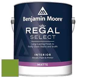 Benjamin Moore 548 IRegal Select Interior Paint - Matte краска цвет 2029-20 Baby Fern