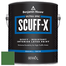 Benjamin Moore 485 Ultra Spec SCUFF-X Interior Eggshell Finish краска цвет NCS S 3560-G20Y 