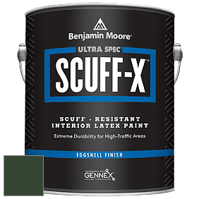 Benjamin Moore 485 Ultra Spec SCUFF-X Interior Eggshell Finish краска цвет RAL 6020 