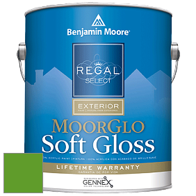 Benjamin Moore W096 Regal Select Exterior Paint-Moor GloSoft Gloss Finish краска цвет 2030-10 Lizard Green
