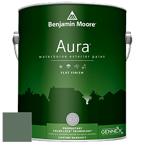 Benjamin Moore Aura 629 Waterborne Exterior Flat Finish краска цвет 637 Gothic Green