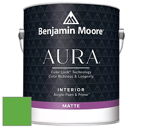 Benjamin Moore Aura 522 Interior Paint - Matte краска цвет NCS S 1075-G20Y 
