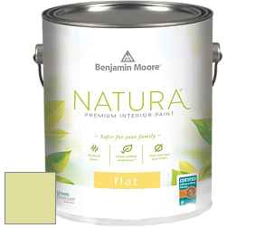 Benjamin Moore 512 Natura Interior Flat Finish матовая краска цвет 2028-50 Wales Green