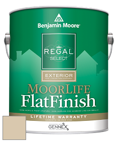 Benjamin Moore W105 Regal Select Exterior Paint-MoorLife Flat Finish краска цвет AF-90 