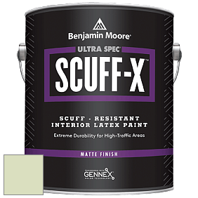 Benjamin Moore 484 Ultra Spec SCUFF-X Interior Matte Finish краска цвет 540 Country Green