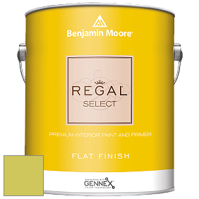 Benjamin Moore 547 Regal Select Waterborne Interior Flat Finish краска цвет 404 Electric Slide