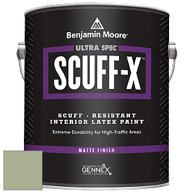 Benjamin Moore 484 Ultra Spec SCUFF-X Interior Matte Finish краска цвет HC-118 BM HC-118