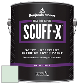 Benjamin Moore 484 Ultra Spec SCUFF-X Interior Matte Finish краска цвет 850 Reflection