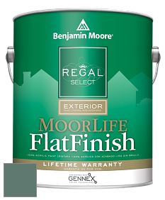 Benjamin Moore W105 Regal Select Exterior Paint-MoorLife Flat Finish краска цвет 685 Verdigris